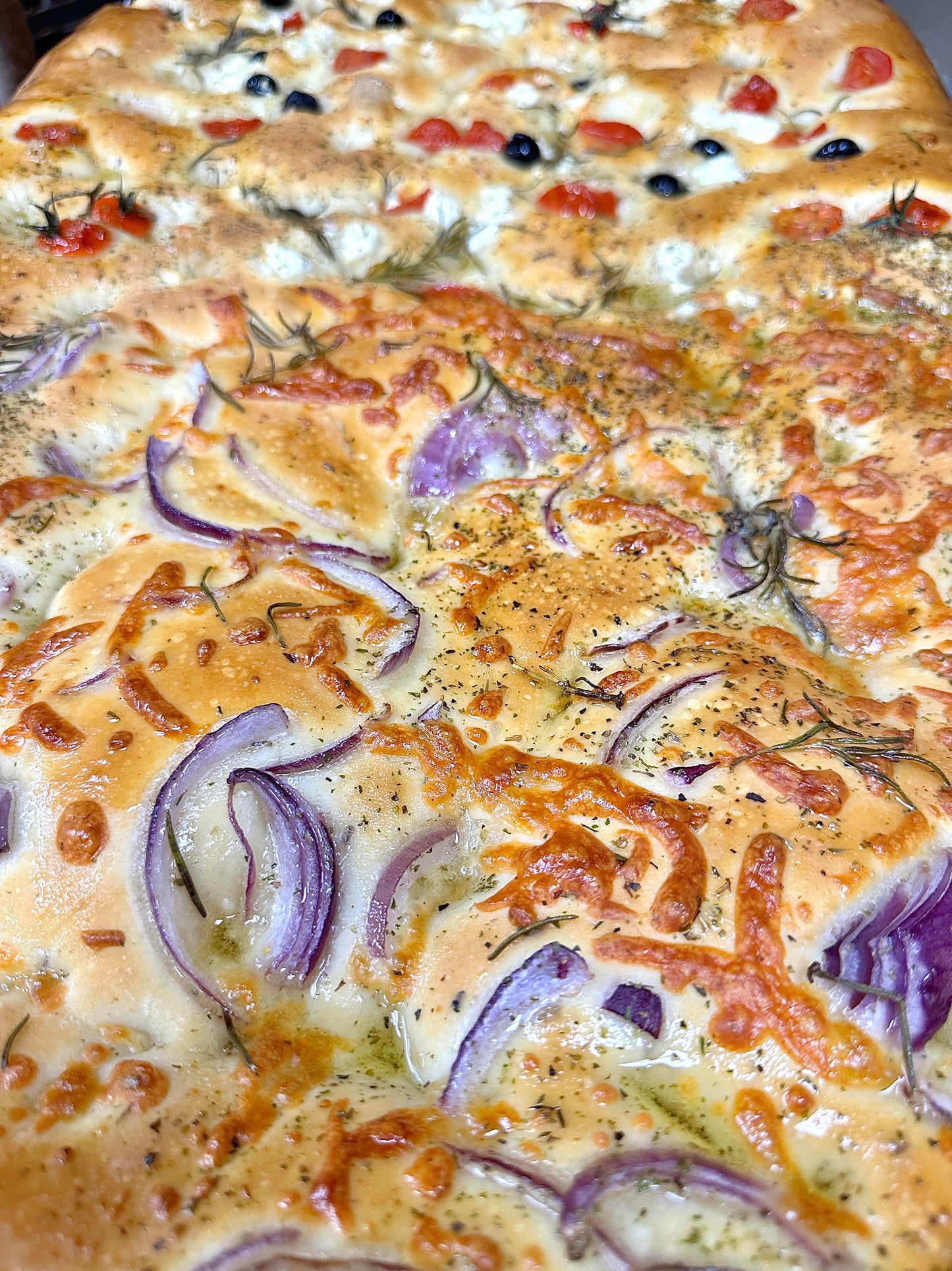 Armor of God Warrior - MAN (Purple Tunic)